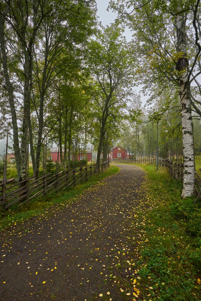 Sigma 12mm f1.4_12w.jpg