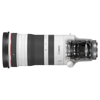 RF 100-300mm f/2,8 L IS USM (fullformat)