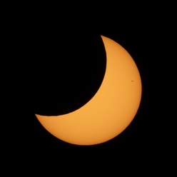 DSCF6531.jpg