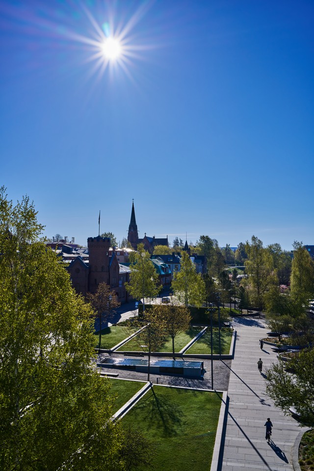Samyang 35mm f1.8 P_24w.jpg