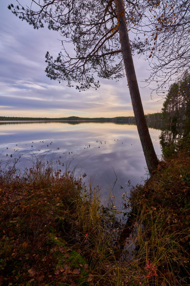 tokina_opera_16 28_18w.jpg