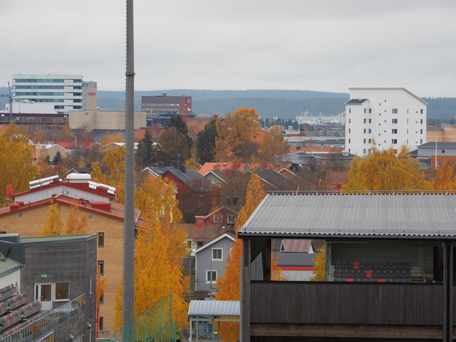 PA180031w.JPG