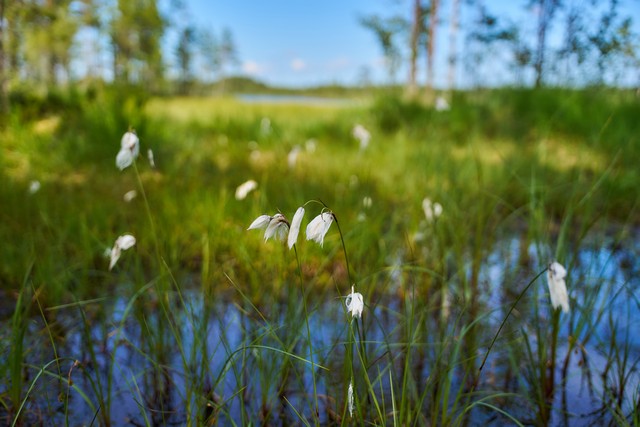 Sigma 17-40mm f1.8_13w.jpg