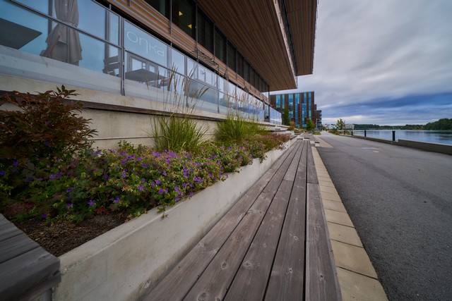 Laowa 12mm f2.8 Lite Zero-D FF_16w.jpg