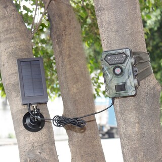 Wildcamera solar panel