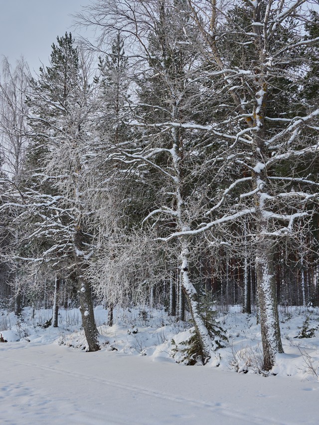 OM System OM 5 II_23w.jpg