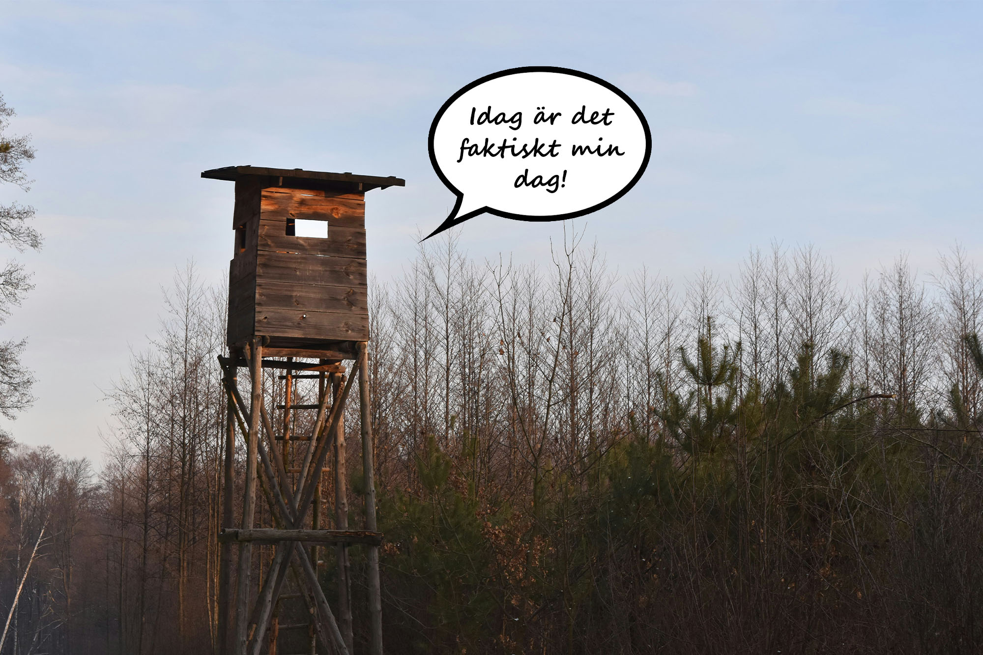 jakttornetsdag2026_blogg.jpg