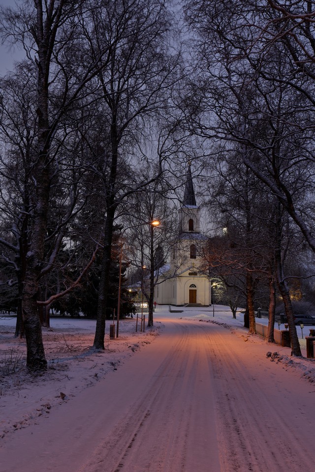 Panasonic S1 II_19w.jpg