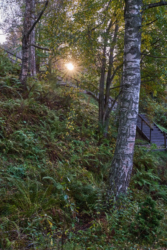 Sigma 20-60mm f2.8_4_30w.jpg