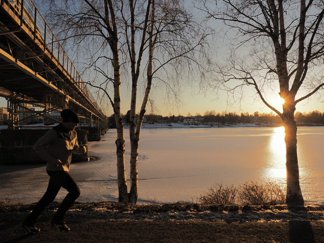 olympus E M1 Mark III_20w.JPG