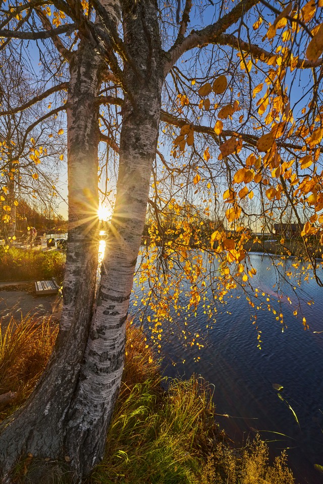 Viltrox 14mm f4_27w.jpg