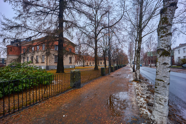 Samyang AF 14mm_ RF_22w.jpg
