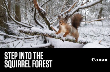 Dani-Connor-Banner Header_blogg.jpg