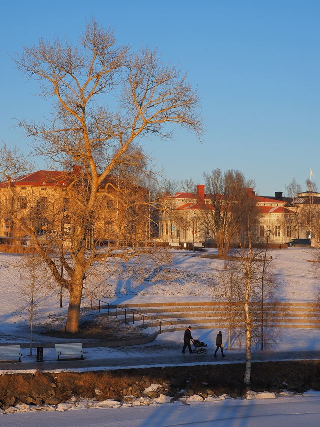 olympus E M1 Mark III_15w.JPG