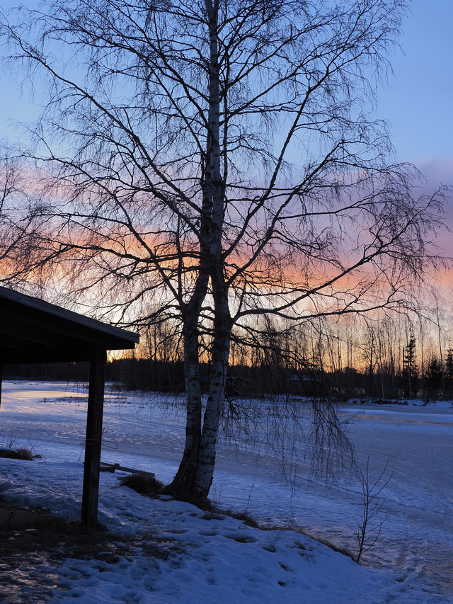 olympus E M1 Mark III_2w.jpg