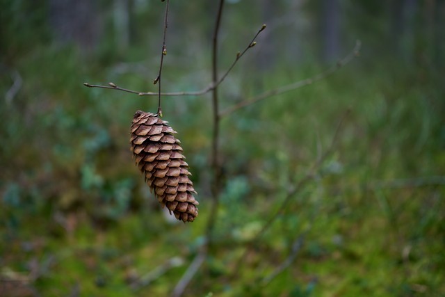 Viltrox 25mm f1.7_15w.jpg