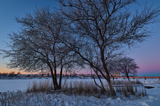 Canon RF 14mm f1.4L VCM_28w.jpg