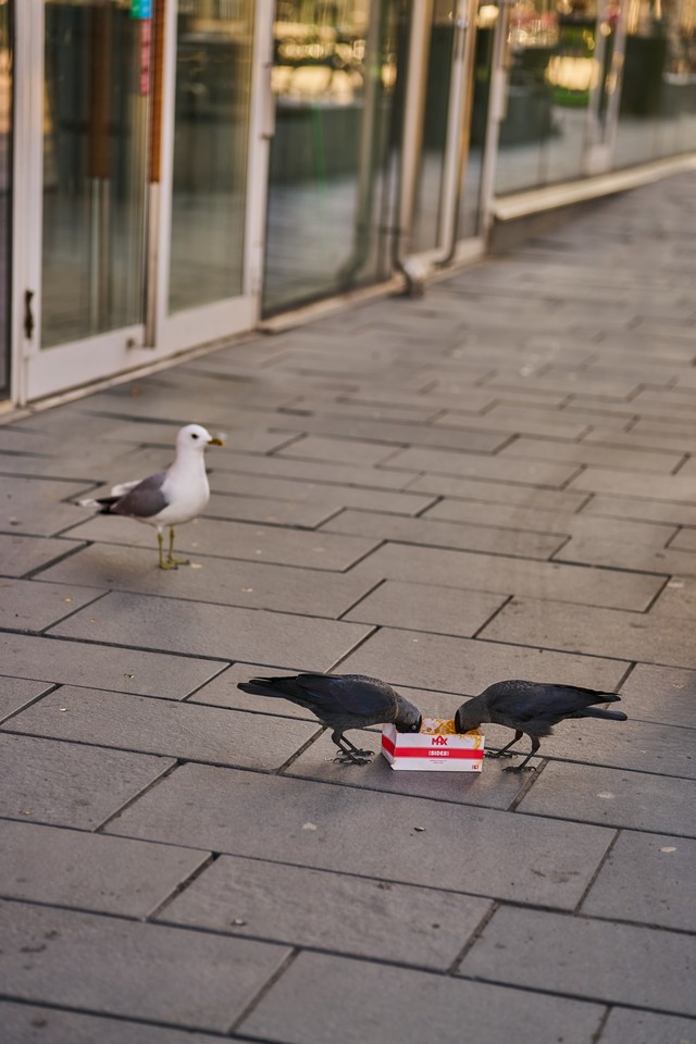 Tamron 35-100mm f2.8_29w.jpg