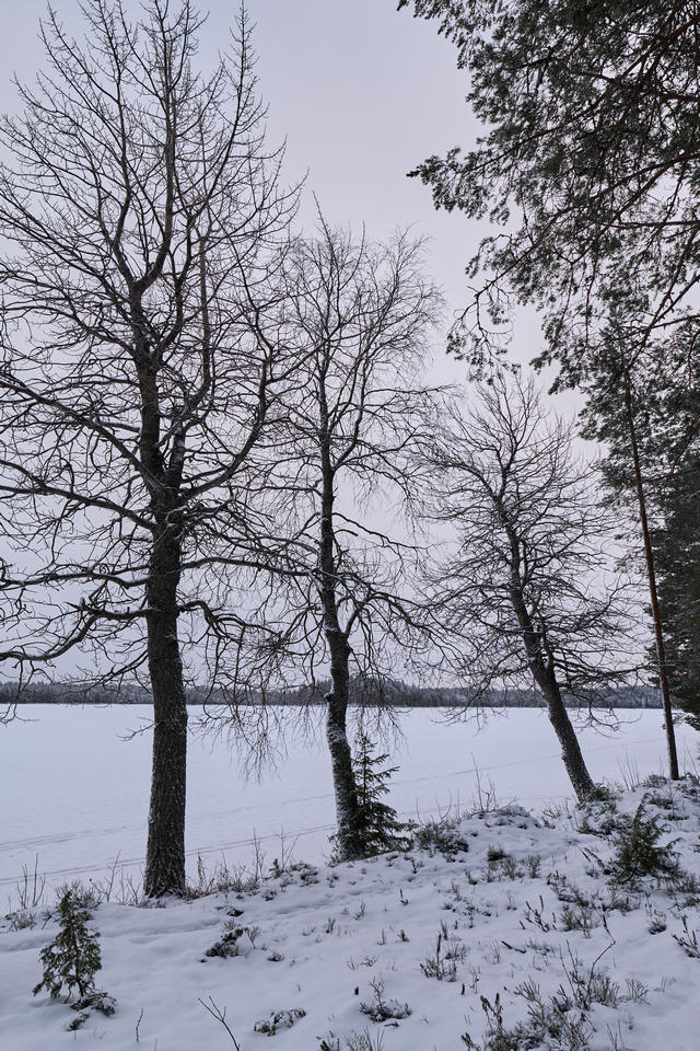 Panasonic S1 II_28w.jpg