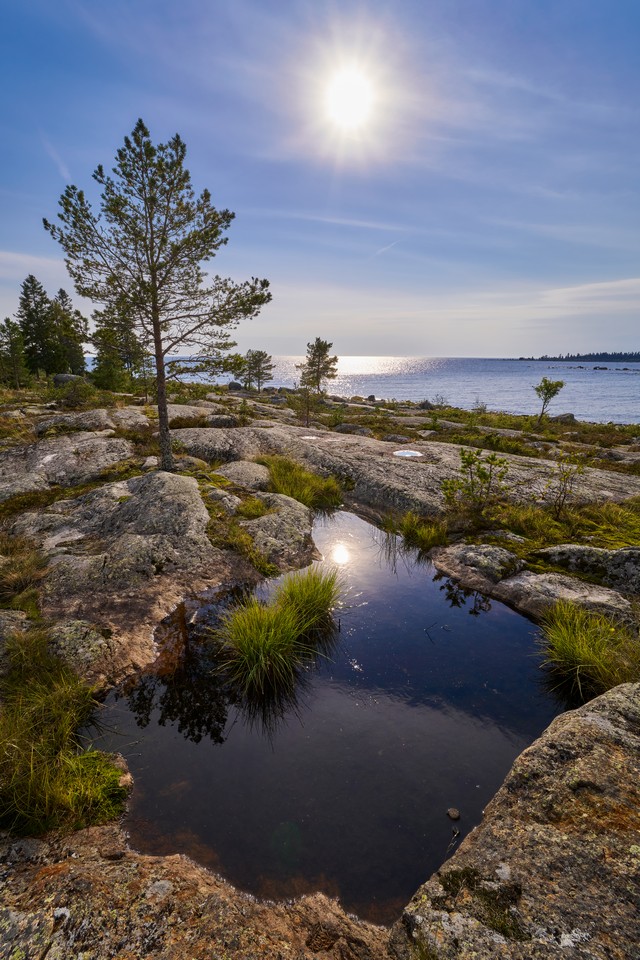 Samyang 16mm f2.8_15w.jpg