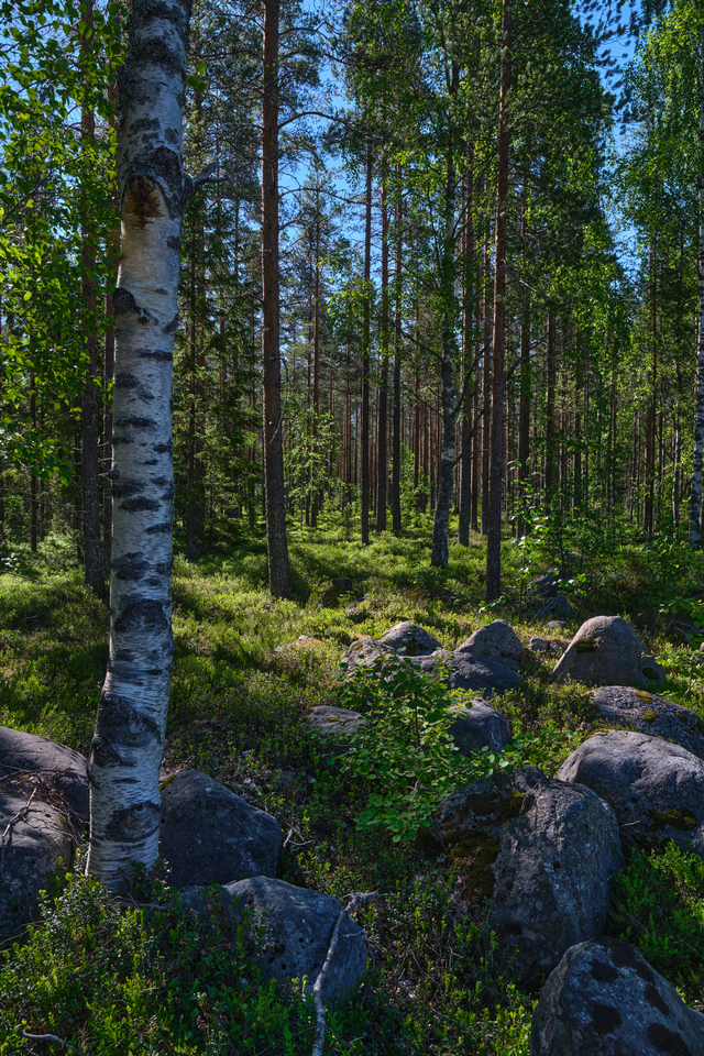 Tamron 17-70 f2.8 XF_18w.jpg