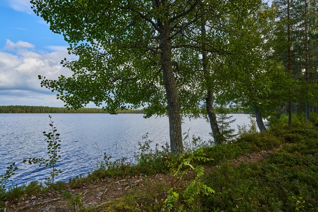 Tamron 12-20mm f2.8_19w.jpg