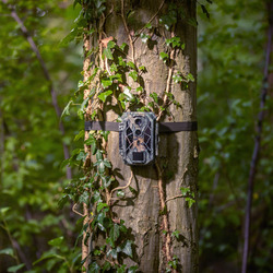 EZ2 Elite Wildcamera