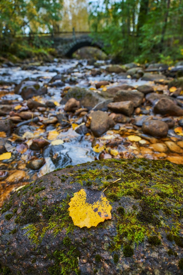 Sigma 20-60mm f2.8_4_12w.jpg