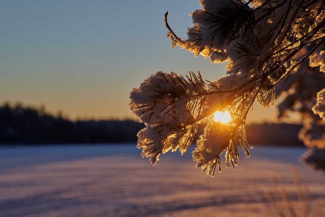 Nikon Z 24-105 f4-7.1_32w.jpg