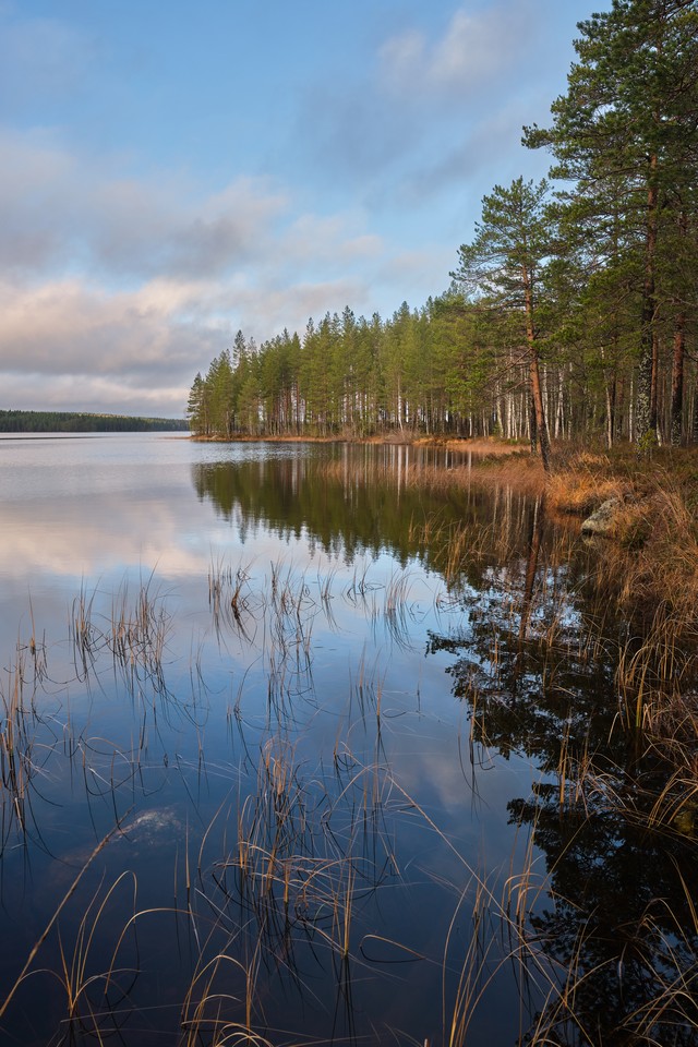 Fujifilm X-T30 III_9w.jpg