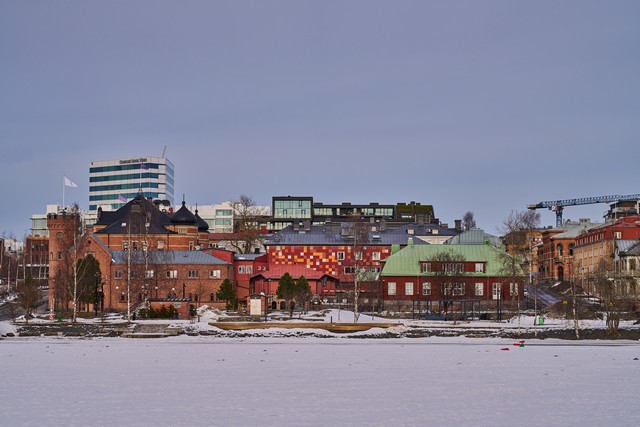 Sony 100mm f2.8 Macro_2w.jpg