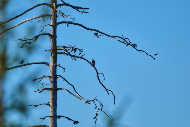 Fujifilm XF 400mm f4.5_20w.jpg