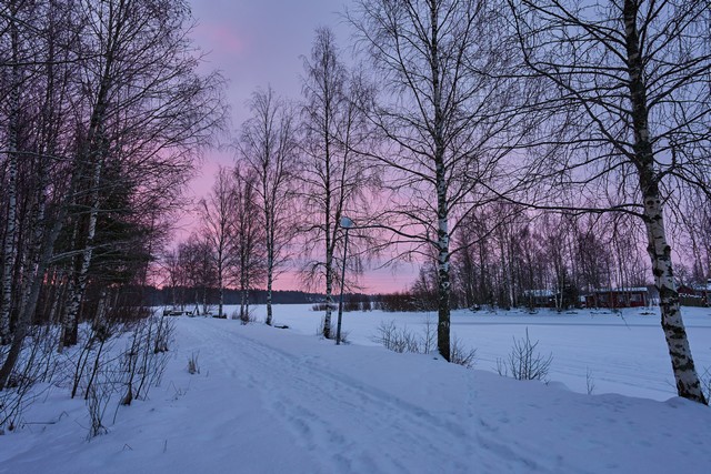 Sigma 15mm f1.4 DC_15w.jpg