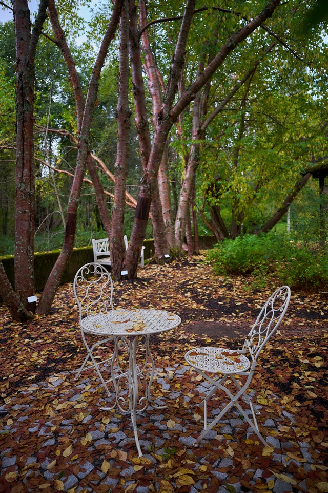 Viltrox 15mm f1.7_26w.jpg