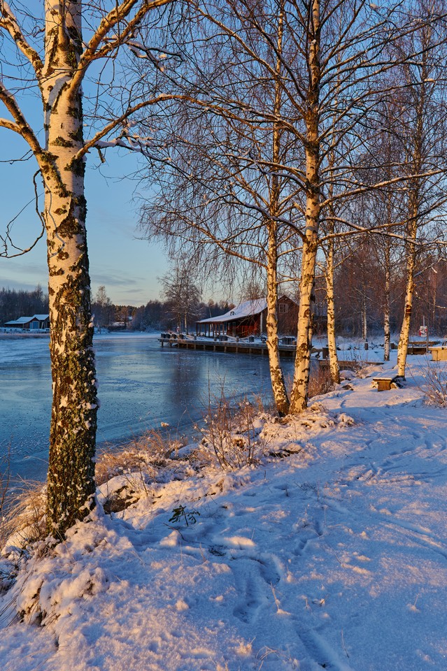 NikonZ DX 16-50mm f2.8_12w.jpg