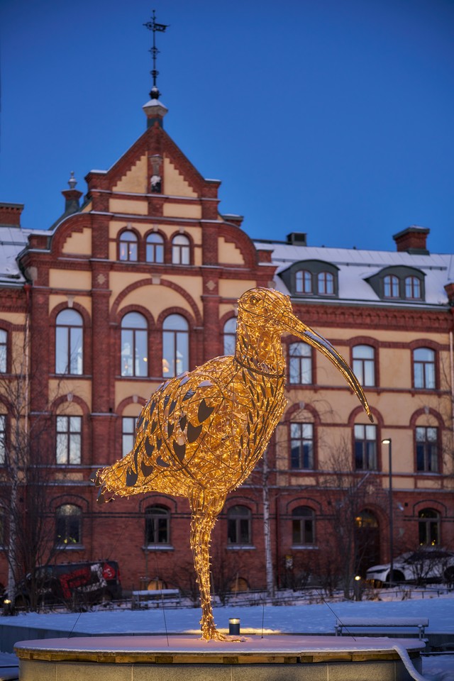 Viltrox 85mm f2 EVO_12w.jpg