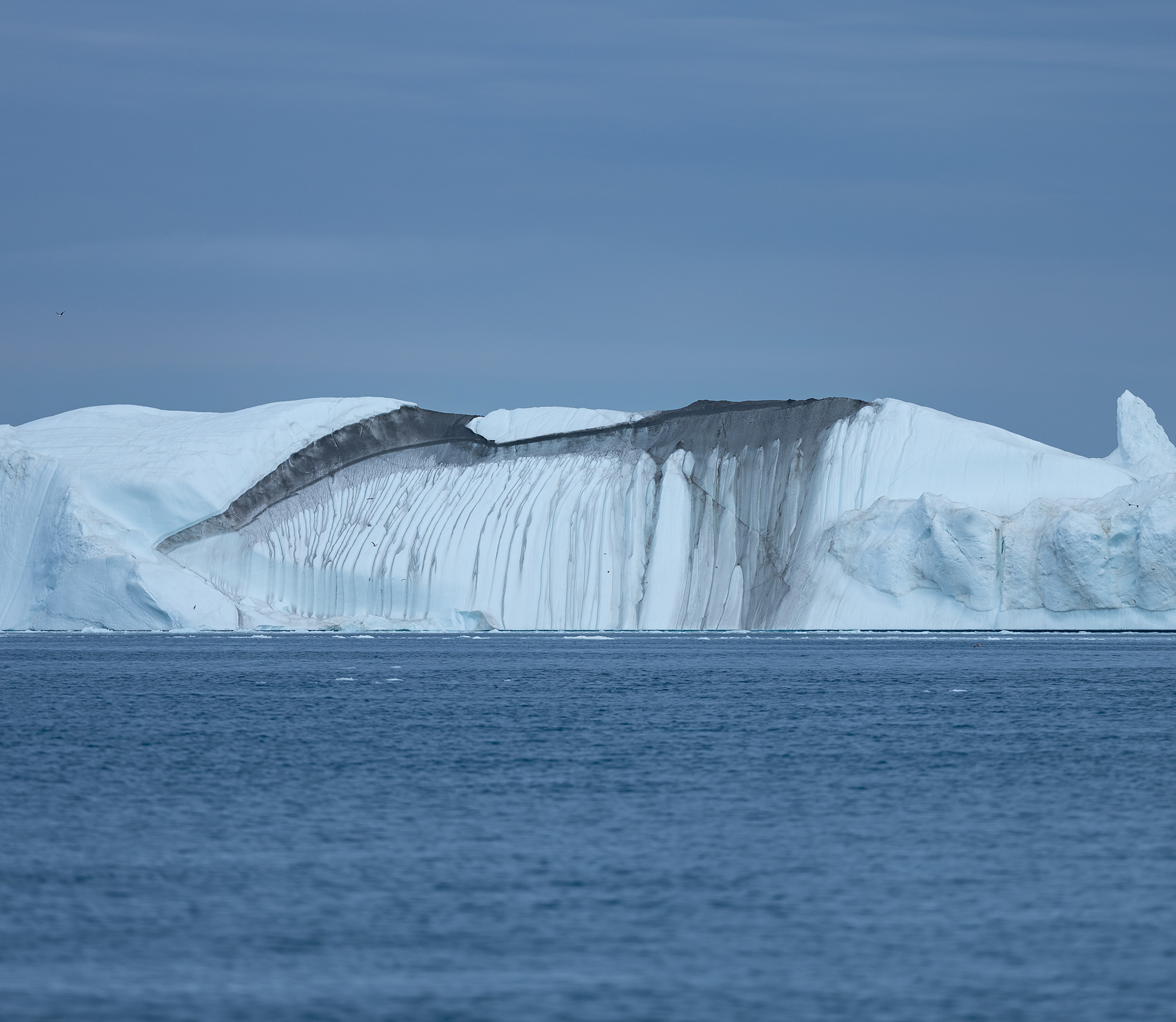 DSCF8480.jpg