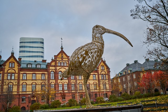 Sigma 35mm f1.2 II_28w.jpg