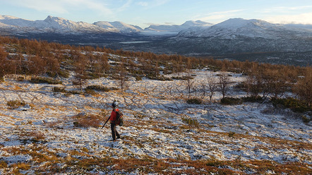 HåkanLiljeholm_blogg.jpg