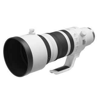 RF 100-300mm f/2,8 L IS USM (fullformat)