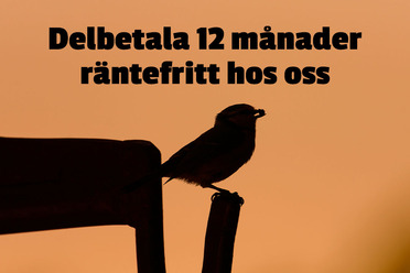 Delbetala12Mån_blogg.jpg