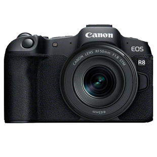 EOS R8 kamerahus + RF 50mm f/1,8 STM