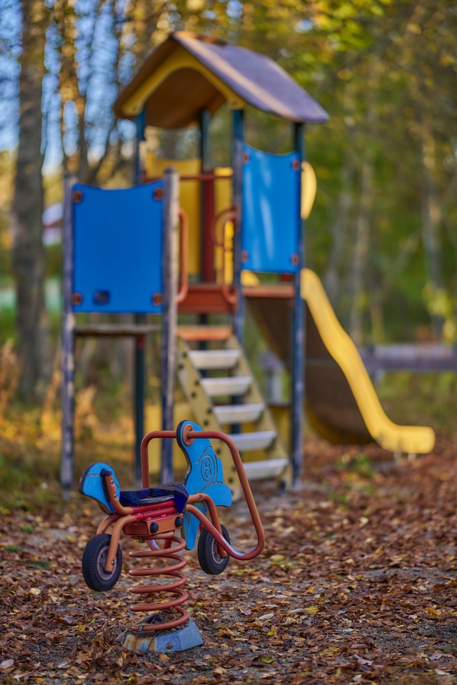 Sigma 85mm f1.2_26w.jpg