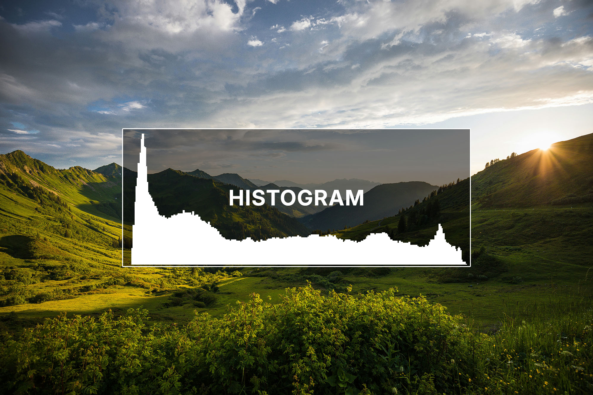 histogram_blogg.jpg