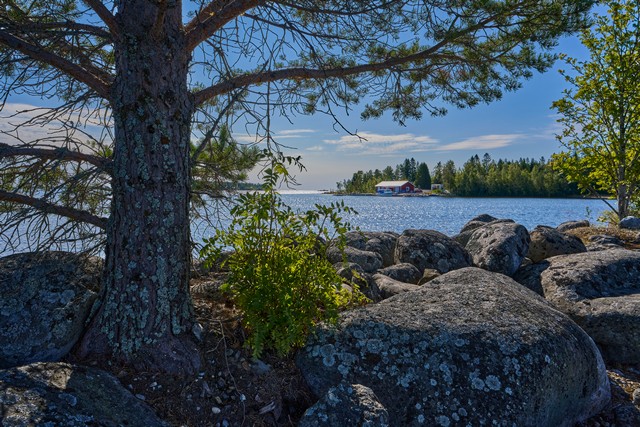 Tamron 16-30mm f2.8_17w.jpg