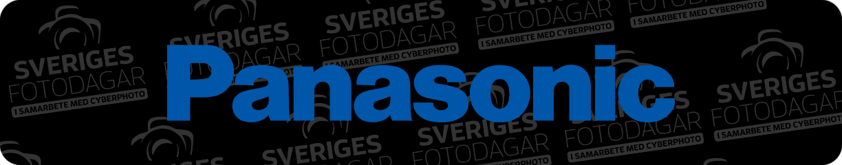 UFD_Panasonic.png