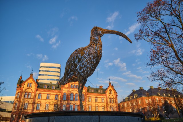 Fujifilm X-T30 III_21w.jpg