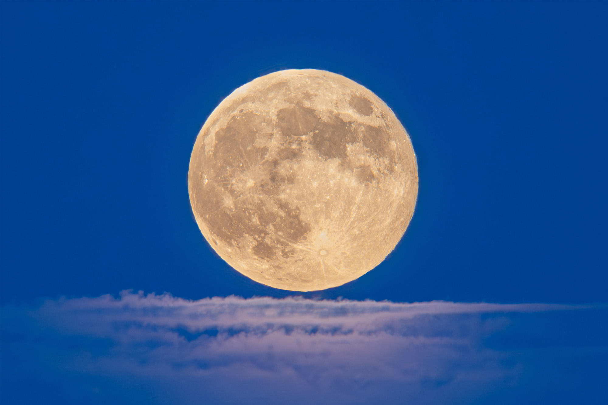 moon2020.jpg