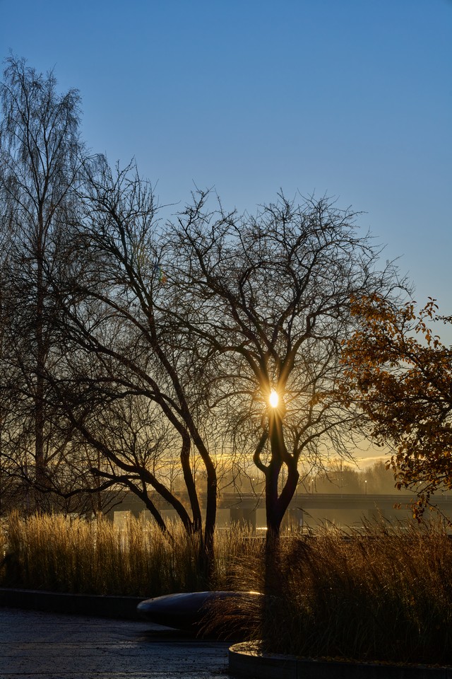 Viltrox 85mm f1.4 PRO_2w.jpg