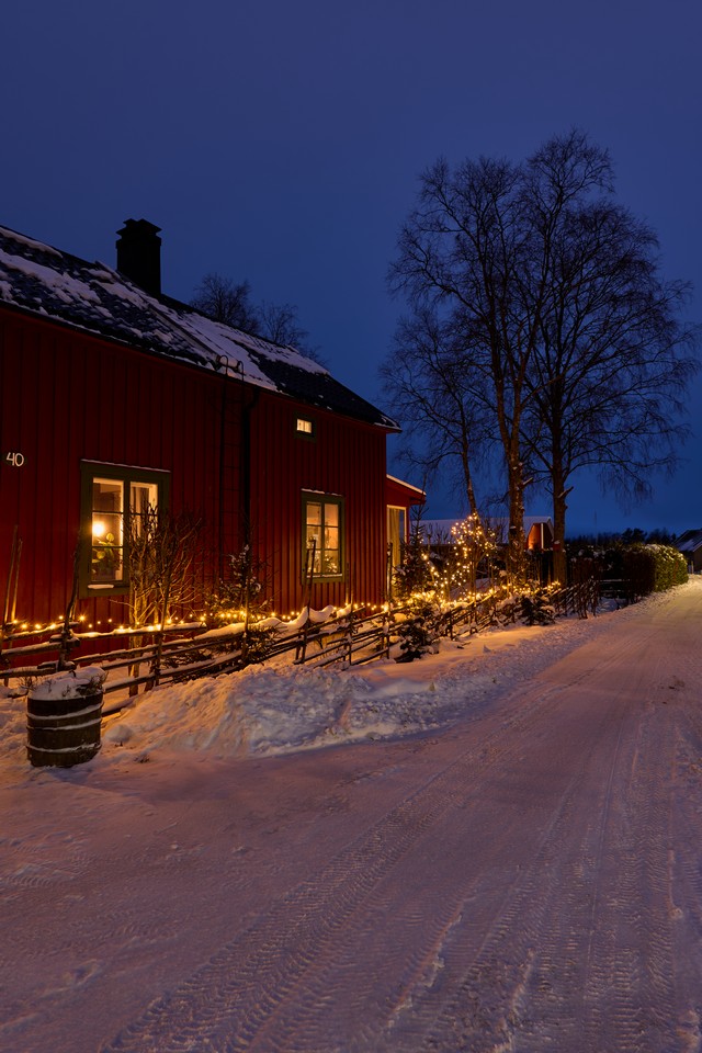 Panasonic S1 II_3w.jpg